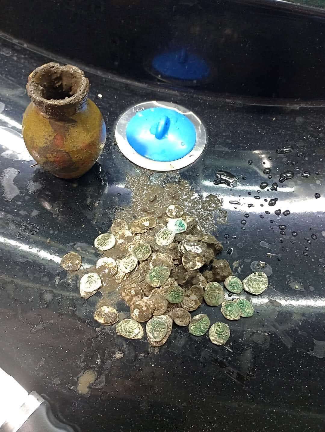 На Одещині знайшли "Флоранський скарб" зі срібними монетами