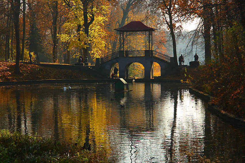 5 туристичних місць в Україні, які восени виглядають по-особливому красиво
