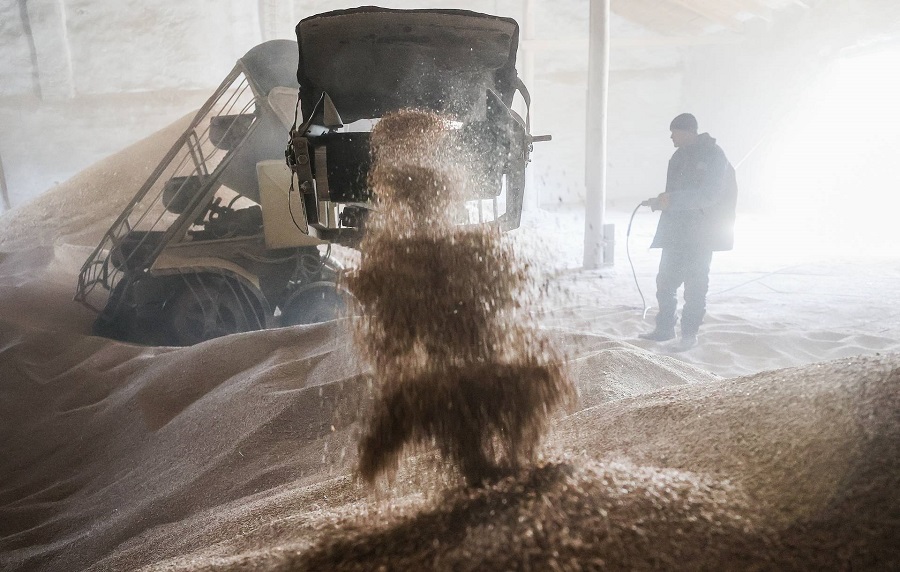 У портах України заблоковано 4,5 млн тонн зерна