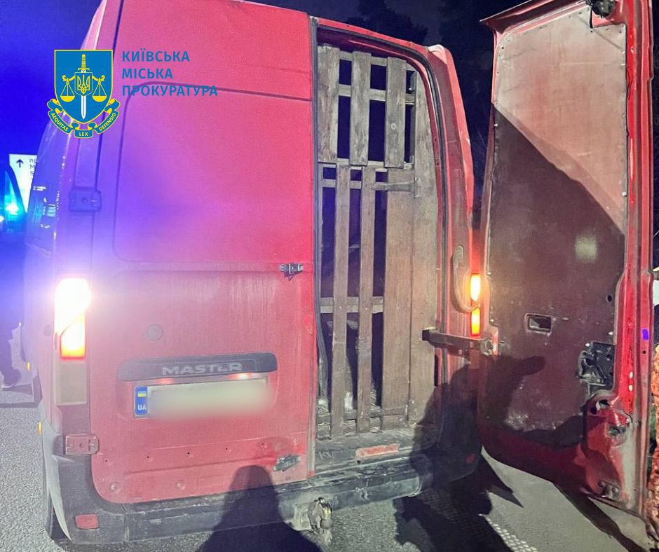У Києві затримали водія, який віз дев'ять оленів, один з них помер