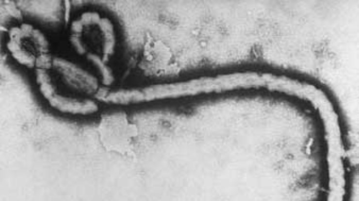 Лихорадка Эбола уносит все больше жизней