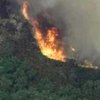В Австралии бушуют сильные лесные пожары