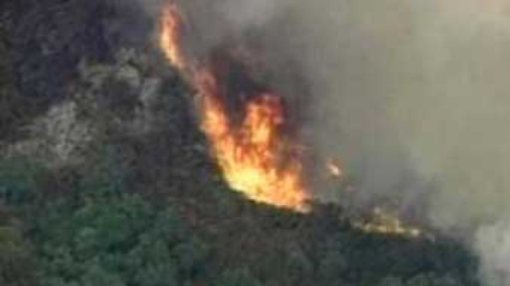 В Австралии бушуют сильные лесные пожары