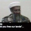Американцы не считают победой смерть бен Ладена