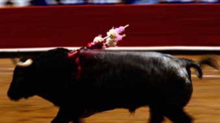 В Испании снова разрешат продажу мяса быков, убитых на корриде