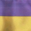 В Киеве будет отмечаться День национального флага