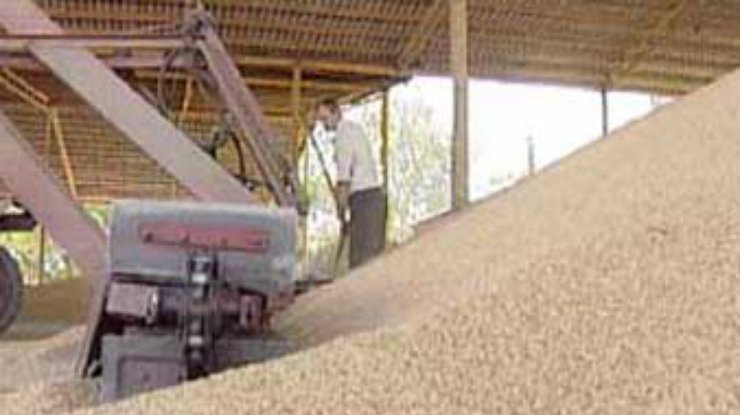 В Украине уже собрано 27 миллионов тонн зерна