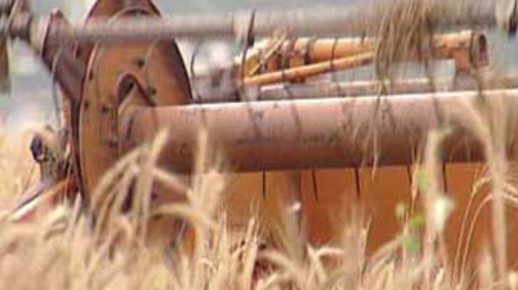 Украина: урожай зерновых будет собран до конца этой недели