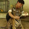 Разводить тигров - оригинальное хобби