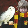 Девочку с совой превратили в Гарри Поттера: фотожабы