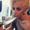 Голая Леди Гага измазалась кровью (фото)