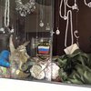 В Дамаске солдаты России скупают жемчуг по $100 (фото)