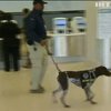 Аеропорти США беруть на роботу собак