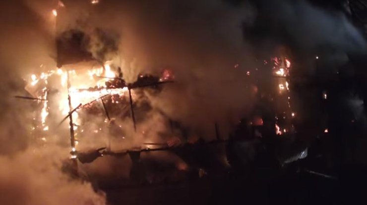 Масштабный пожар в Киеве на Гидропарке сняли с беспилотника. Кадр из видео