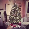 В Instagram знаменитости хвастаются новогодними елками (фото)