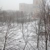 В Киеве выпал снег в канун Нового года (фото, видео)