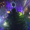 В Нью-Йорке зажгли главную рождественскую елку США (видео)