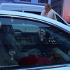 Автомобиль Анастасии Волочковой обстреляли в Москве (фото)