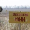 Армия Украины разминирует поля Донбасса для посевной
