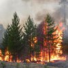 Сибирские пожары охватили Бурятию