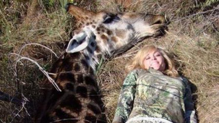Охотница из США убила жирафа. Фото Metro