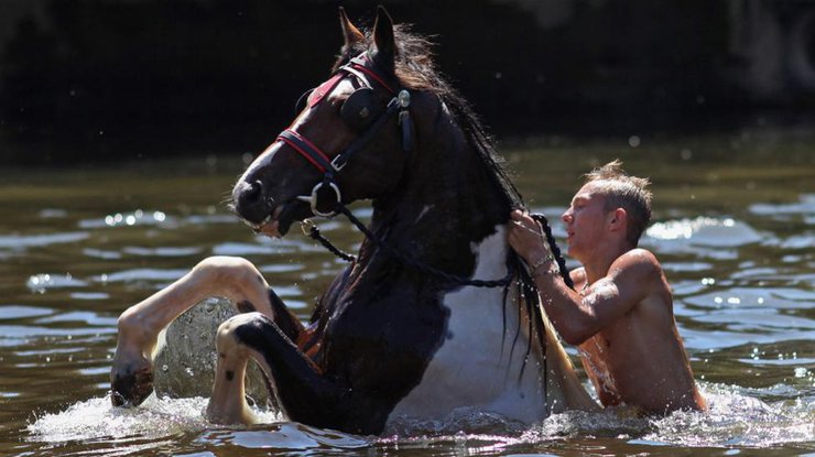 Всадник утонул, упав с коня в озеро. Фото daypic.ru