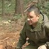 Депутаты из Киева "крышуют" вырубку леса на Буковине