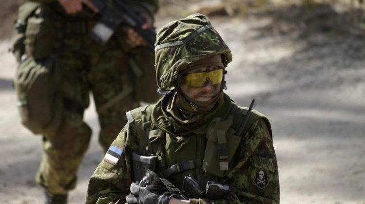 В Эстонии считают сплоченность нации лучшей защитой от гибридной войны