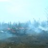 В Бурятії і Туві поновилися лісові пожежі (відео)