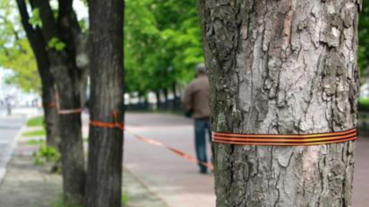 В парке Николаева деревья обвязали георгиевскими лентами. Фото "НикВести"