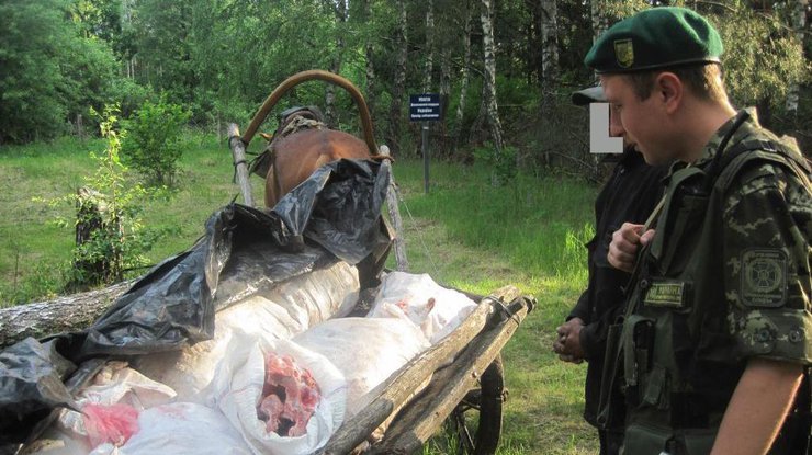 500 кг свежего мясо в 8 мешках нелегально двигались в Россию. фото - ДПСУ