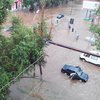 В Кривом Роге ураган валил деревья и затопил квартиры (фото, видео)