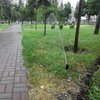 В Киеве под дождем коммунальщики включили полив газонов (фото)
