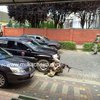 Батальон ОУН поддержит "Правый сектор" в перестрелке в Мукачево
