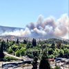 Под Афинами масштабный пожар: горит лес (фото)