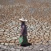 Таиланд переживает сильнейшую засуху за последние 10 лет (фото)