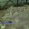 На Черкащині руйнується стоянка мамонтів, якій 15 тис. років