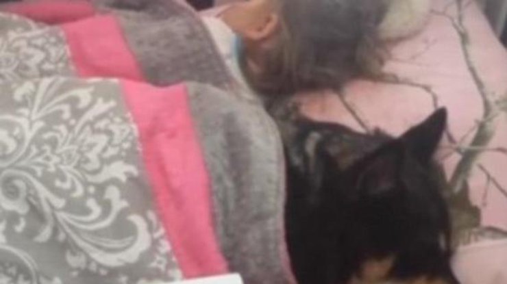 Пес спит вместе с маленькой девочкой
