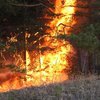 В Красноярском крае катастрофически растет площадь лесных пожаров