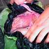 Проводник поезда Кишинев-Москва вез тонну мяса в туалете (фото)