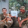 Мариуполь охраняет пес "Рыжик", предсказывающий минометный обстрел (фото)