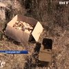 На месте взрыва под Мариуполем нашли еще снаряды