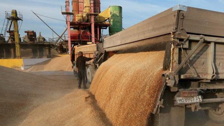 Россия не может торговать пшеницей, из-за обвала рубля.
