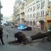 В центре Киева дерево проломило крышу джипа (фото)