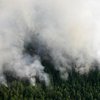 В Сибири разгораются лесные пожары