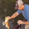 Рыбаки выудили из озера двух милых котят (видео)
