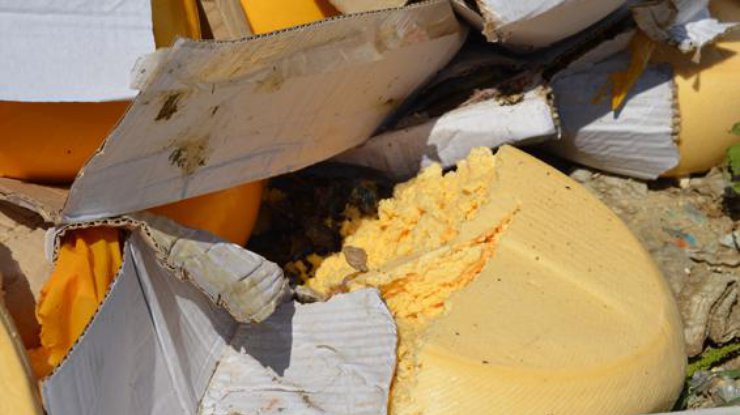 Уничтожение "запрещенного" сыра. Фото politolog.net