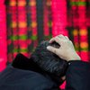 Шанхайская фондовая биржа открылась обвалом