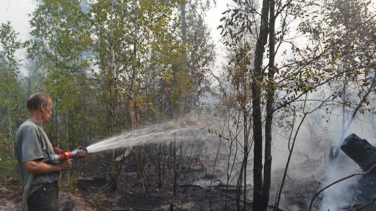 Под Киевом уже 3 день горит лес 