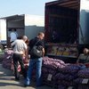 Блокада Крыма: набитые овощами фуры едут в Одессу (фото)